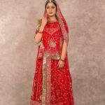 Red Aari Resham Sequins Work Poshak | Pure Georgette Collection | Jaipurio Designer Wear